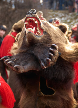 People dancing dressed in bearskin and folk costumes at the Comanesti Customs and Traditions Festival on December 30, 2025