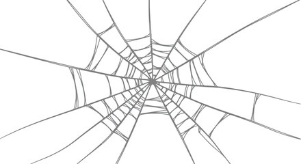 Obraz premium Intricate Hand-Drawn Spider Web Illustration with Detailed Radiating Filaments and Sticky Threads for Halloween or Nature-Themed Designs