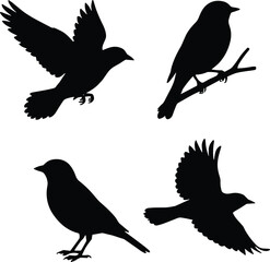 Obraz premium Black bird silhouette illustration set, flying and perched bird shapes, wildlife nature design elements, animal shadow vector icons