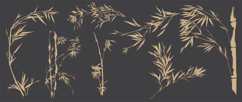 Bamboo of leaves elements in Chinese painting vector. Hand drawn natural with brushstroke in Traditional style.