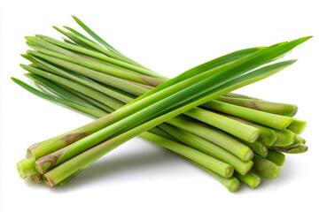 Lemongrass herb stalk fresh green aromatic ingredient spice Fresh green lemongrass stalk herb aromatic ingredient spice bundle white background
