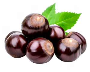 Six shiny buckeyes displayed attractively near a leaf on transparent background