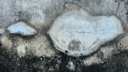 Weathered Concrete Wall Texture with Mold and Peeling Paint