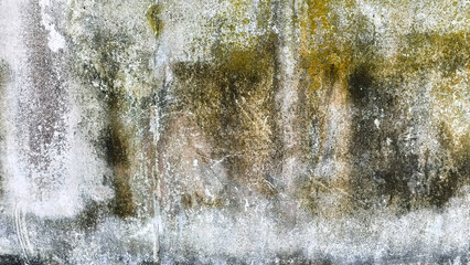 Obraz premium Weathered and Moldy Concrete Wall Texture