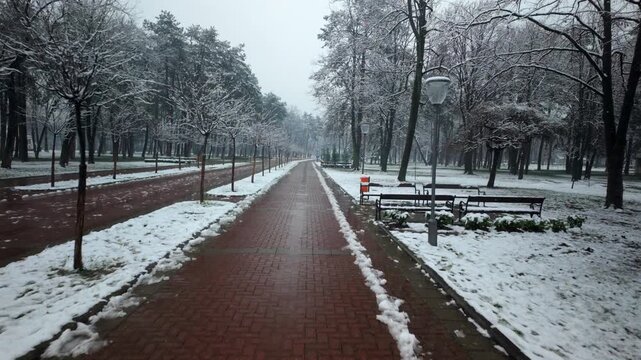 Long Winter Park Alley With Cleared Brick Path And Benches