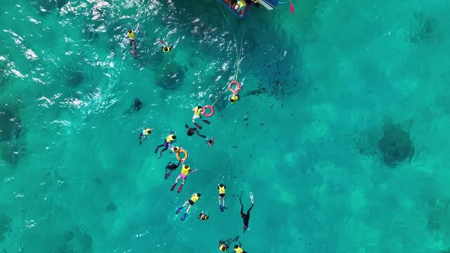 tourist swimming in ocean