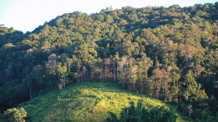 Obraz premium Landscape of the greenery forest and mountains