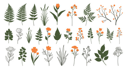 Obraz premium Delicate collection of wildflower, grass, and fern silhouettes in green and orange tones for botanical and wedding designs.