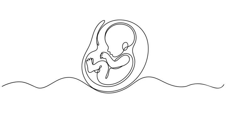 Baby embryo in womb one line drawing. Cute unborn fetus baby on mother womb isolated on white background, Baby embryo in womb in one continuous line drawing. Healthy pregnancy and premature symbol.