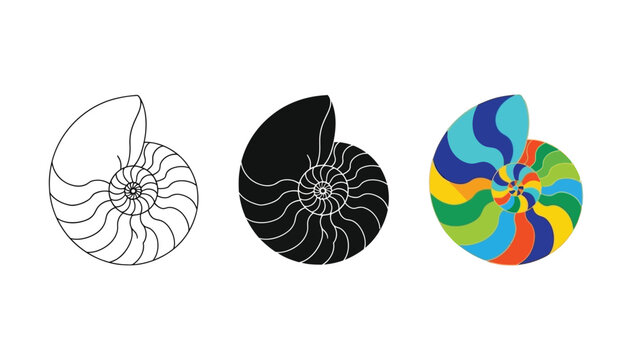 Nautilus shell spiral golden ratio fibonacci sequence outline silhouette and colorful vector set