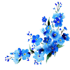 Delicate watercolor rendering of forget-me-nots in varying shades of blue, with green leaves on black background