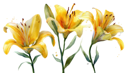 Watercolor illustration of three yellow lilies with green stems against a black background