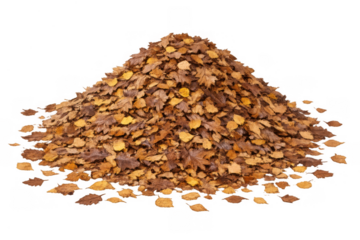 Autumn fall foliage forming a large brown and orange leaf pile, seasonal dry leaves heap, transparent background