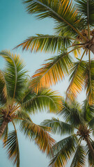Fototapeta premium Low angle view of green coconut palm tree leaves waving in wind against clear blue summer sky background during sunny tropical vacation day outdoors