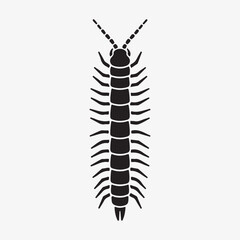 Centipede silhouette