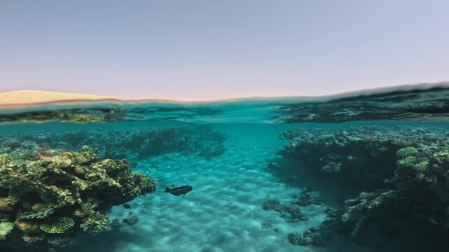 Half underwater slow motion view of coral reef and desert coastline with rolling waves in clear tropical sea