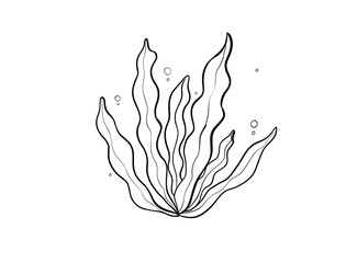seaweed digital drawing illustration isolated © mbahran