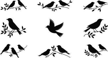 Bird silhouette set vector, songbirds on branches, flying bird icon collection, black nature illustration, wildlife clipart design © MdShafe