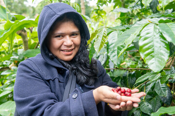 Close up of a real woman in hoodie holding ripe red coffee beans. Authentic agriculture photography...