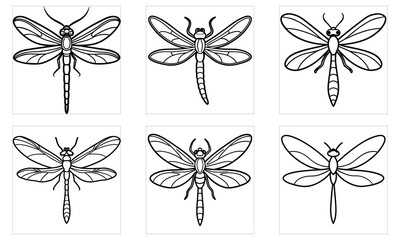 Six Detailed Outline Dragonflies with Intricate Wing Veins in Square Frames dragonfly insect