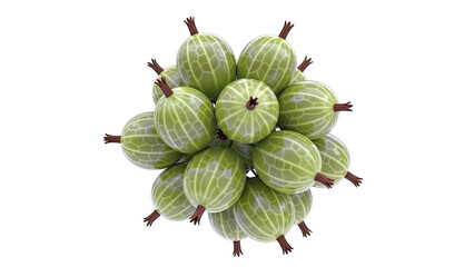 Cluster of green gooseberries