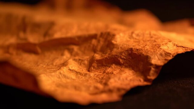 Textured Earth: An up-close shot showcases the intricate patterns of the earth's surface. Capturing the essence of raw, unrefined, and ancient textures.