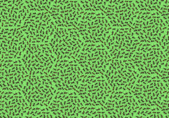 ants  red and black. many ants with a solid background. high-quality background. print and pattern...