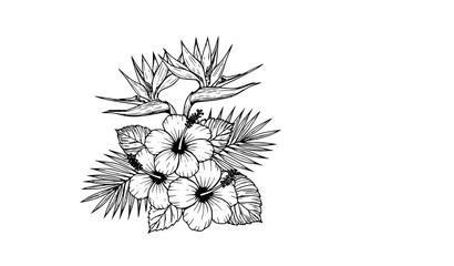 Tropical hibiscus and bird of paradise bouquet line art botanical vector © BijoyChandra