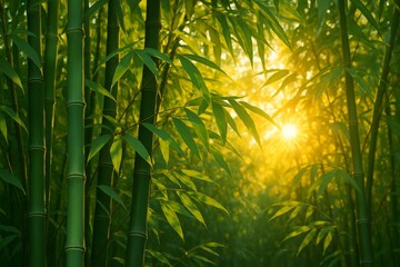 Lush bamboo forest with green stalks and leaves, realistic style, sunlit natural background, concept of tranquility and nature