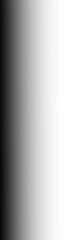 Fototapeta premium Dark gray gradient black fading on transparent background