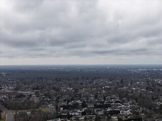 Aerial view showing a wide suburban landscape with numerous houses nestled among leafless trees, leading towards a distant horizon under a cloudy, gray sky on a winter day