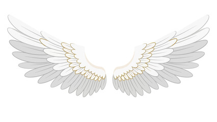 Obraz premium Elegant pair of white angel wings with golden accents