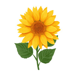 Naklejka premium A vibrant, detailed illustration of a blooming sunflower isolated against a black background
