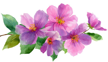 Watercolor depiction of blooming pink and purple flowers with green leaves on a dark backdrop