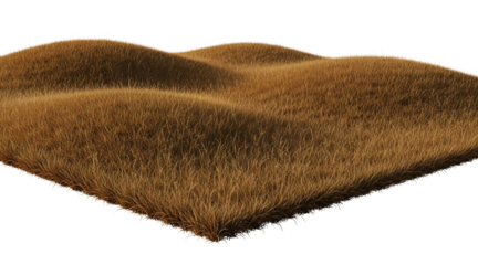 A close-up view of a textured brown surface against a black background