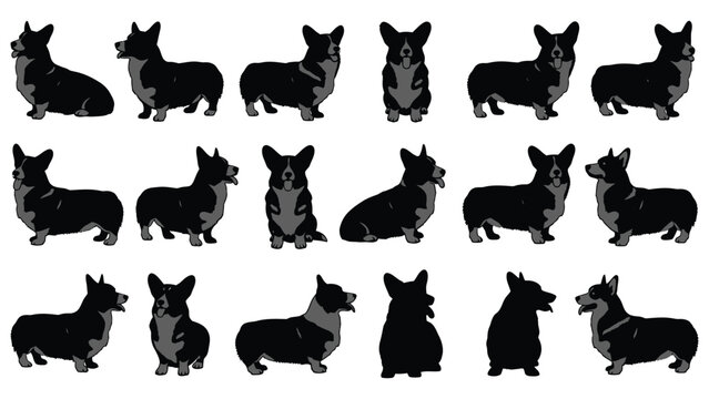 Collection of adorable black and white corgi illustrations showing various poses and silhouettes