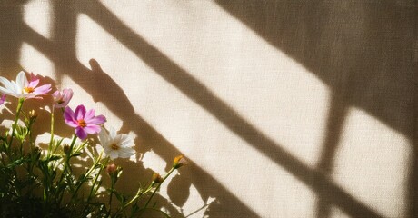 Fototapeta premium Flowers bloom near window. Sunlight creates shadows, soft light, gentle contrast. Peaceful scene, simple beauty, warm tones.