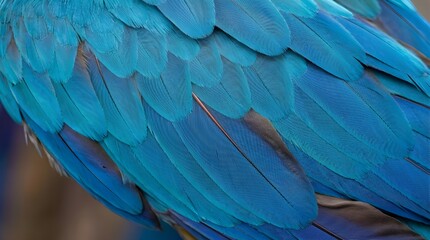 Obraz premium Close-Up of Vibrant Blue Parrot Feathers – Detailed Texture and Color Layers in Nature