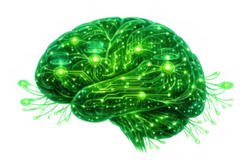 Green digital brain with glowing neural network and circuit patterns, representing artificial intelligence and modern technology on transparent background
