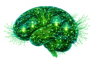 Glowing green brain with intricate circuit patterns and light points, visualizing artificial intelligence, technology, and data processing. Transparent background