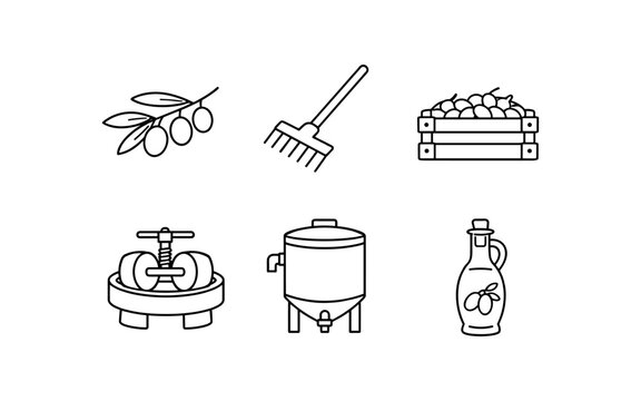 Olive oil production process icons: harvesting, pressing, storage, and bottling