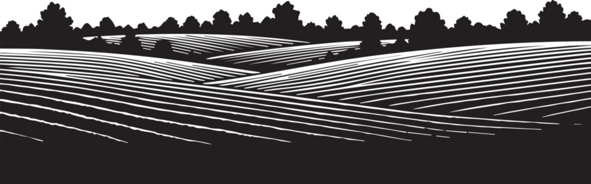 Agriculture field silhouette illustration with trees and rolling hills vector landscape line art
