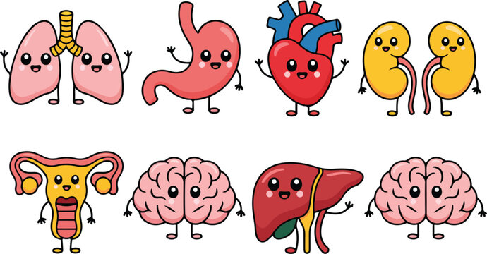 Cute Human Organs Outline Illustration Set  Smiling Heart, Brain, Lungs, and Digestive Organs