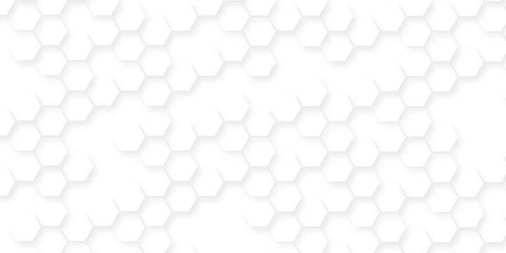 White hexagonal pattern 3d background, Clear pattern abstract background hexagon white, Seamless pattern of repeating white hexagons with subtle shadows creating depth.