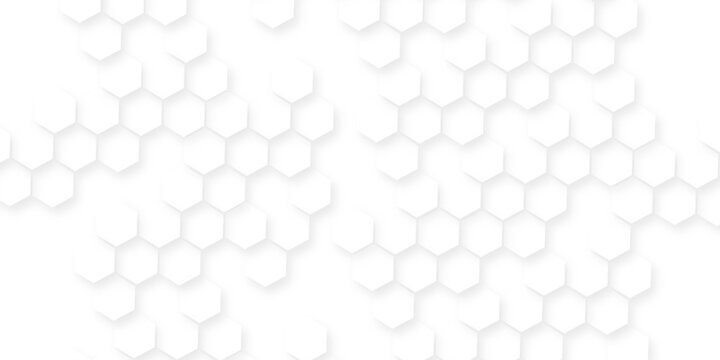 White hexagonal pattern 3d background, Clear pattern abstract background hexagon white, Seamless pattern of repeating white hexagons with subtle shadows creating depth.