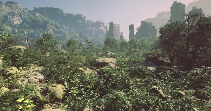 A lush landscape filled with greenery showcases towering rocky formations under soft morning light. The tranquility of nature is evident with dense foliage and scattered rocks throughout.