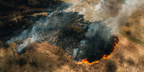 Obraz premium Aerial Panoramic View Of Dry Grass Burns During Drought And Hot Weather. Concept Of Save Nature. Bush Fire And Smoke In Meadow Field. Wild Open Fire Destroys Grass. Nature In Danger. Natural Disaster