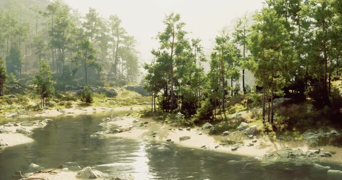 Gentle waters flow along a riverbank, bordered by vibrant green trees under soft sunlight. The tranquil atmosphere invites relaxation and reflection in nature.