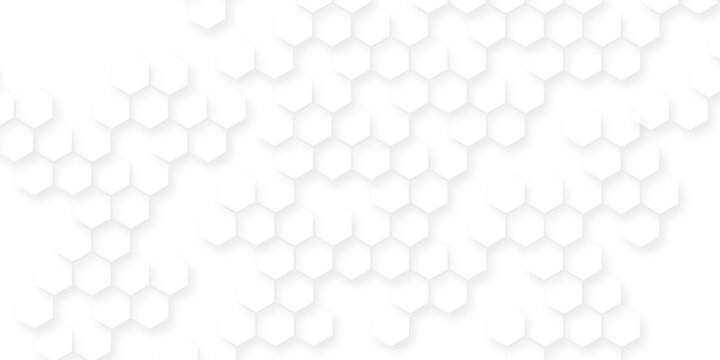 White hexagonal pattern 3d background, Clear pattern abstract background hexagon white, Seamless pattern of repeating white hexagons with subtle shadows creating depth.