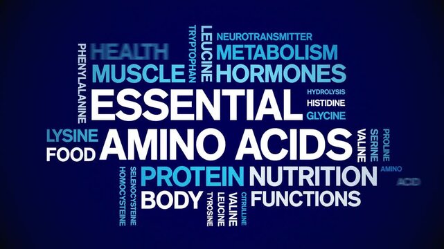 Essential Amino Acids animated word cloud-text design animation tag kinetic typography seamless loop.